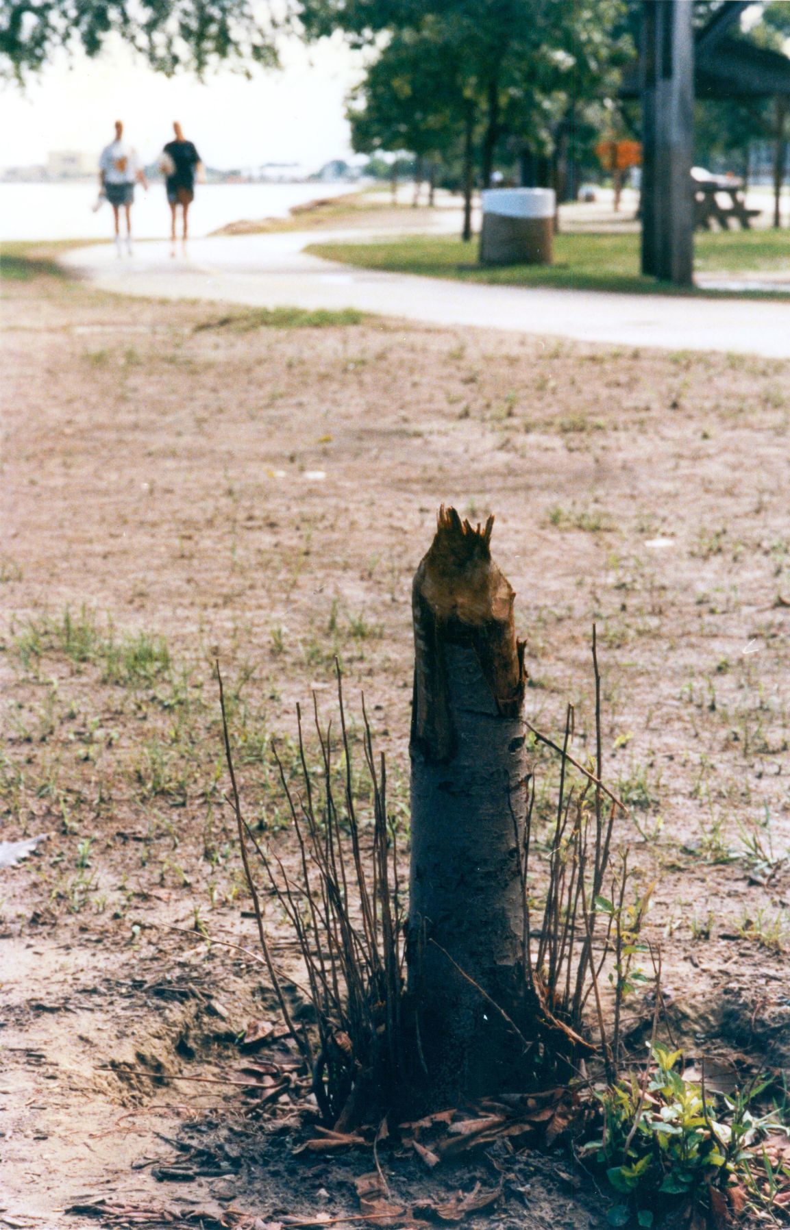 19930819 -- Moline, Illinois
